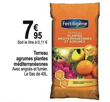 terreau agrumes plantes méditerranéennes