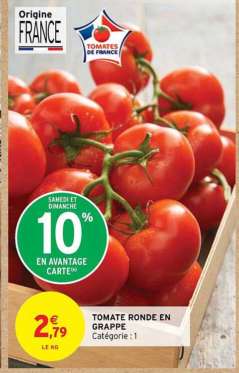 Tomate Ronde En Grappe