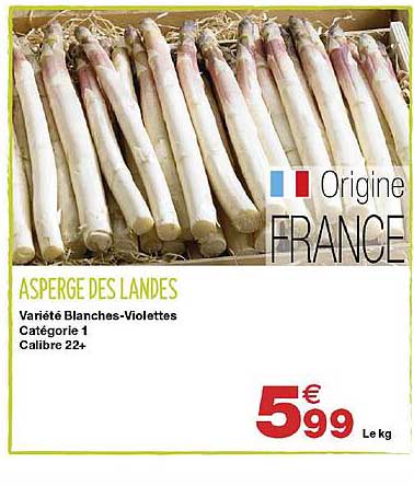 asperge des landes
