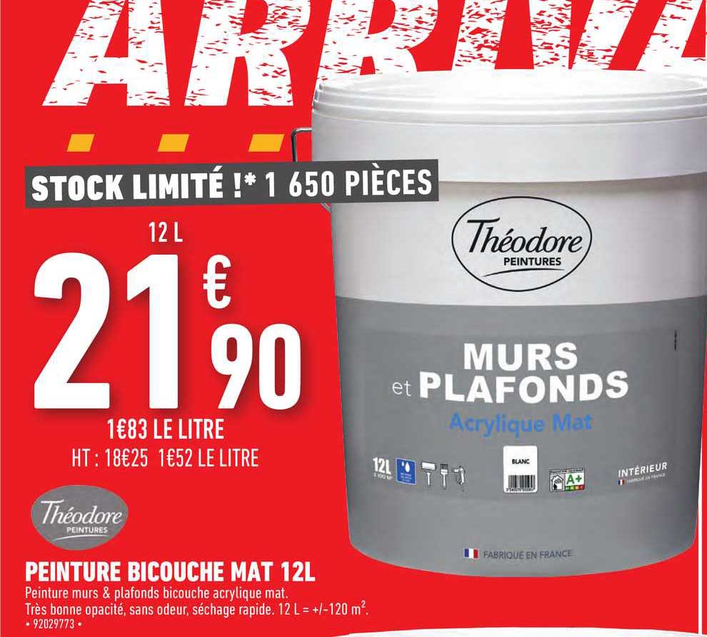 peinture bicouche mat 12l théodore