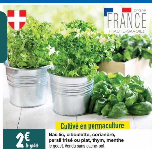 basilic, ciboulette, coriandre, persil frisé ou plat, thym, menthe