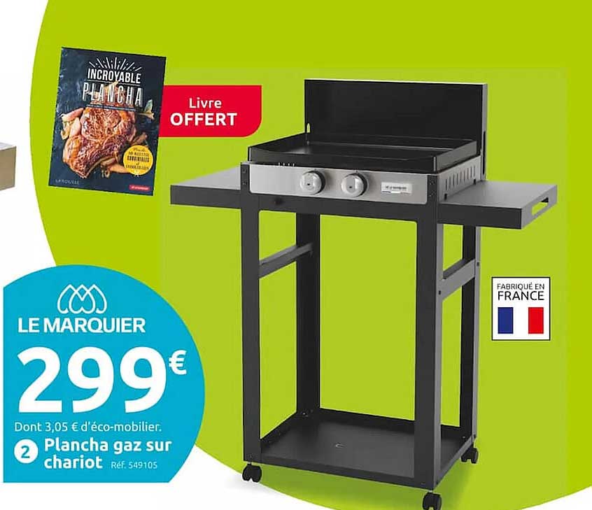 Plancha Gaz Sur Chariot