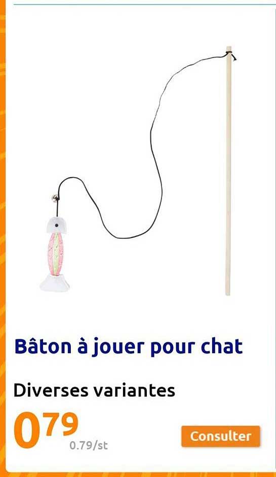 bâton à jouer pour chat