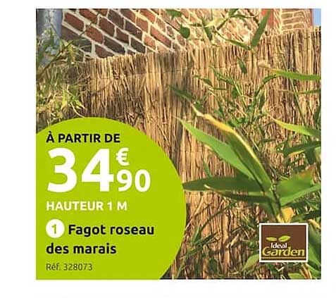 fagot roseau des maris