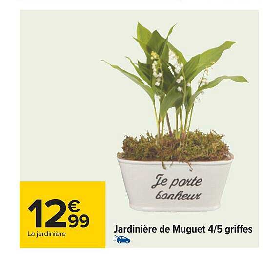 jardinière de muguet 4-5 griffes