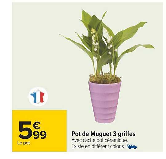 pot de muguet 3 griffes
