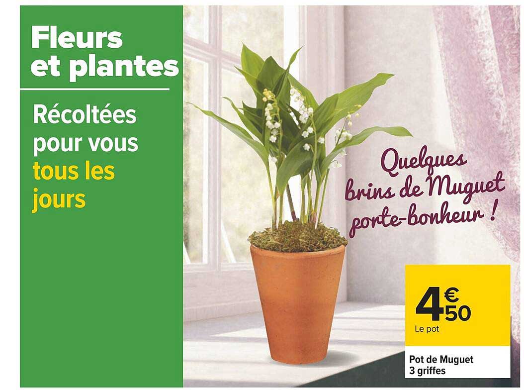 pot de muguet 3 griffes