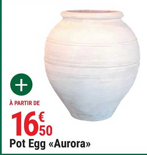 pot egg «aurora»
