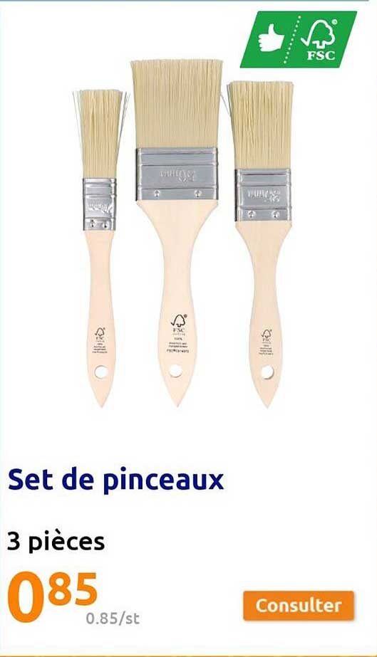 Set De Pinceaux