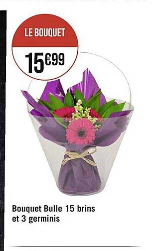 bouquet bulle 15 brins et 3 germinis