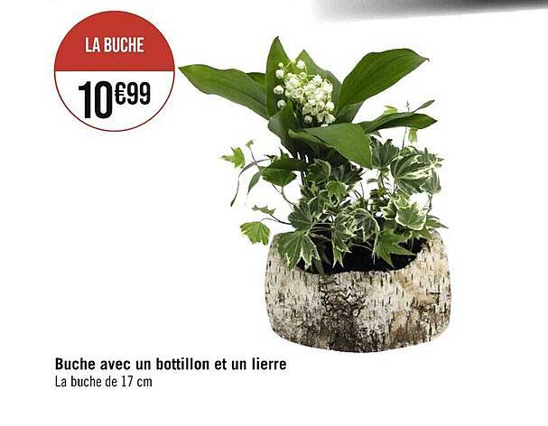 buche avec un bottillon et un lierre