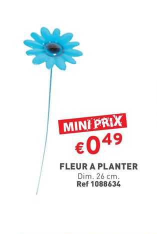 fleur à planter