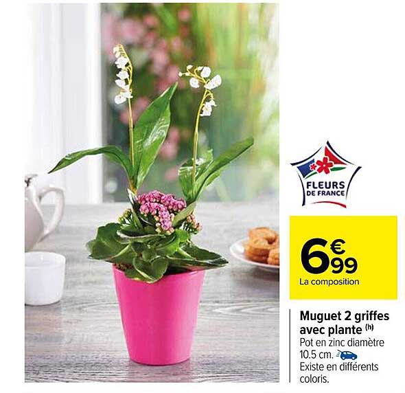 muguet 2 griffes avec plante
