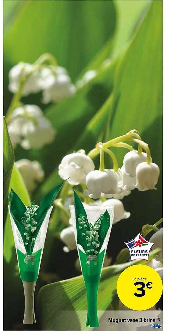 muguet vase 3 brins