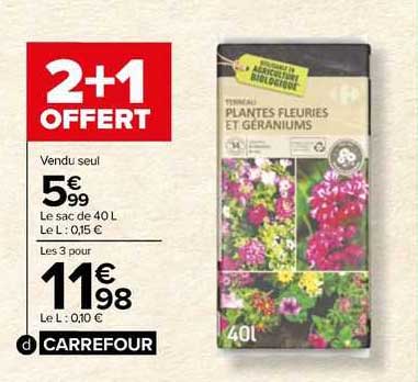 plantes fleuries et géraniums carrefour