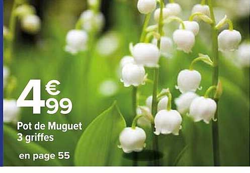 pot de muguet 3 griffes