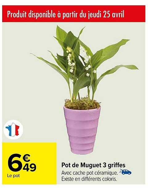 pot de muguet 3 griffes
