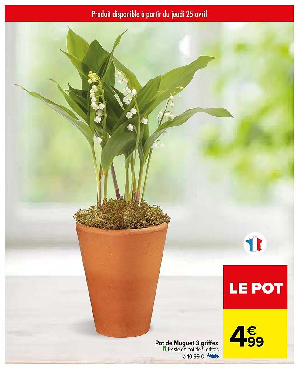 pot de muguet 3 griffes