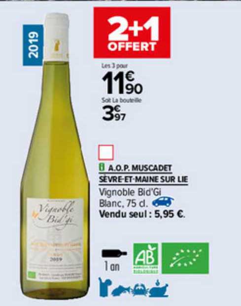a.o.p. muscadet sèvre-et-maine sur lie vignoble bid'gi