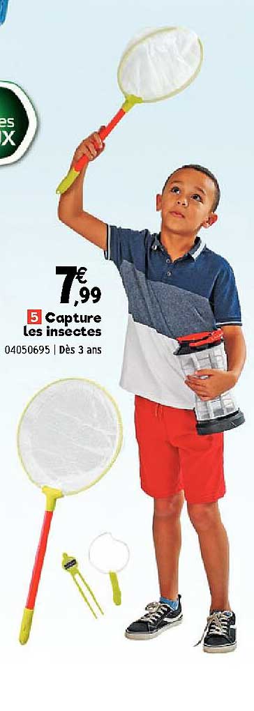 Capture Les Insectes