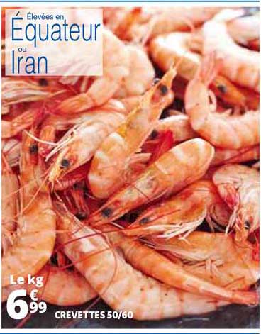 Crevettes 50-60