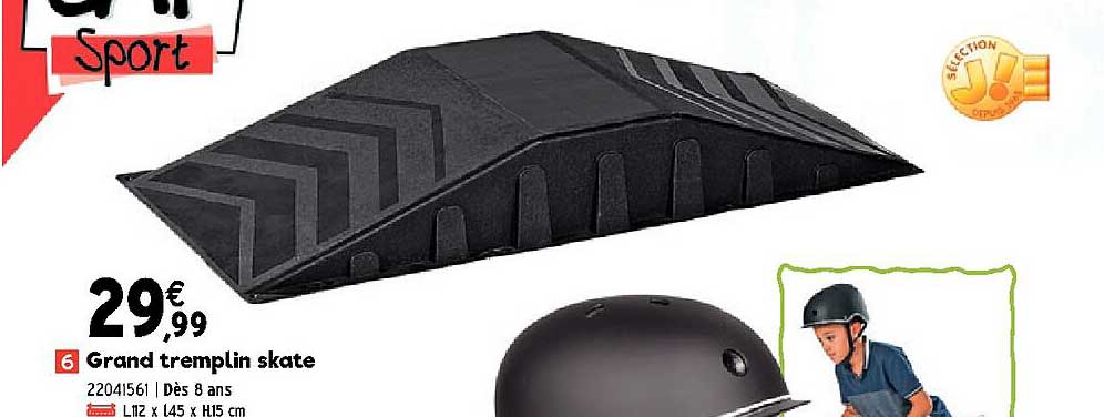 grand tremplin skate