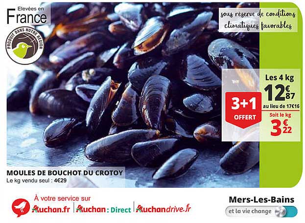 Moules De Bouchot Du Crotoy