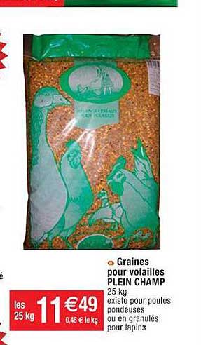 graines pour volailles plein champ