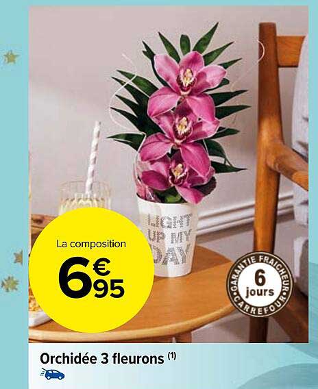 orchidée 3 fleurons