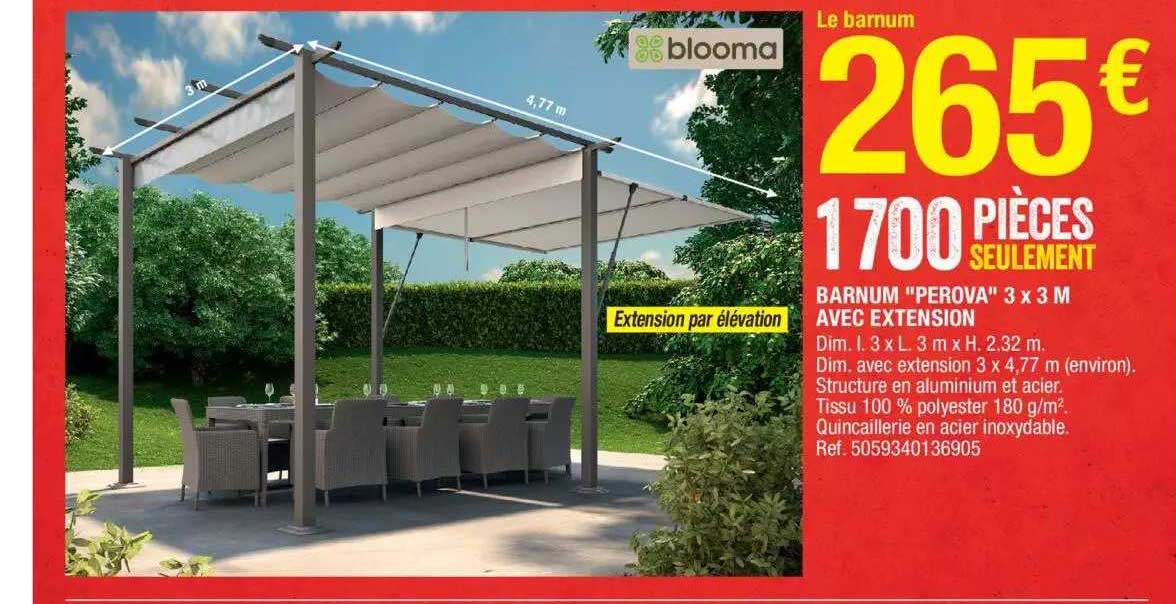 barnum "perova" 3 x 3 m avec extension