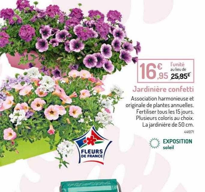 Jardinière Confetti