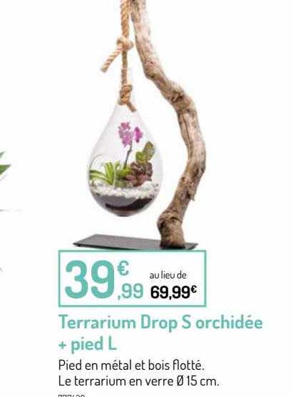terrarium drop s orchidée + pied l