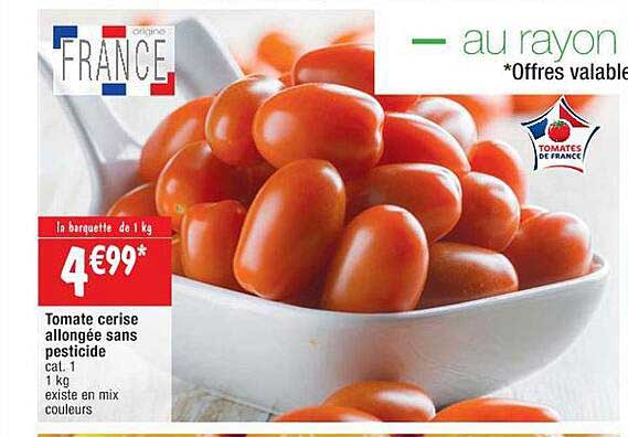 tomate cerise allongée sans pesticide