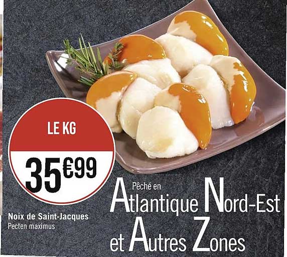 noix de saint-jacques