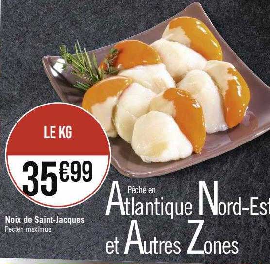 noix de saint-jacques