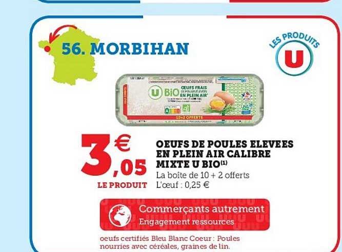 oeufs de poules élevées en plein air calibre mixte u bio