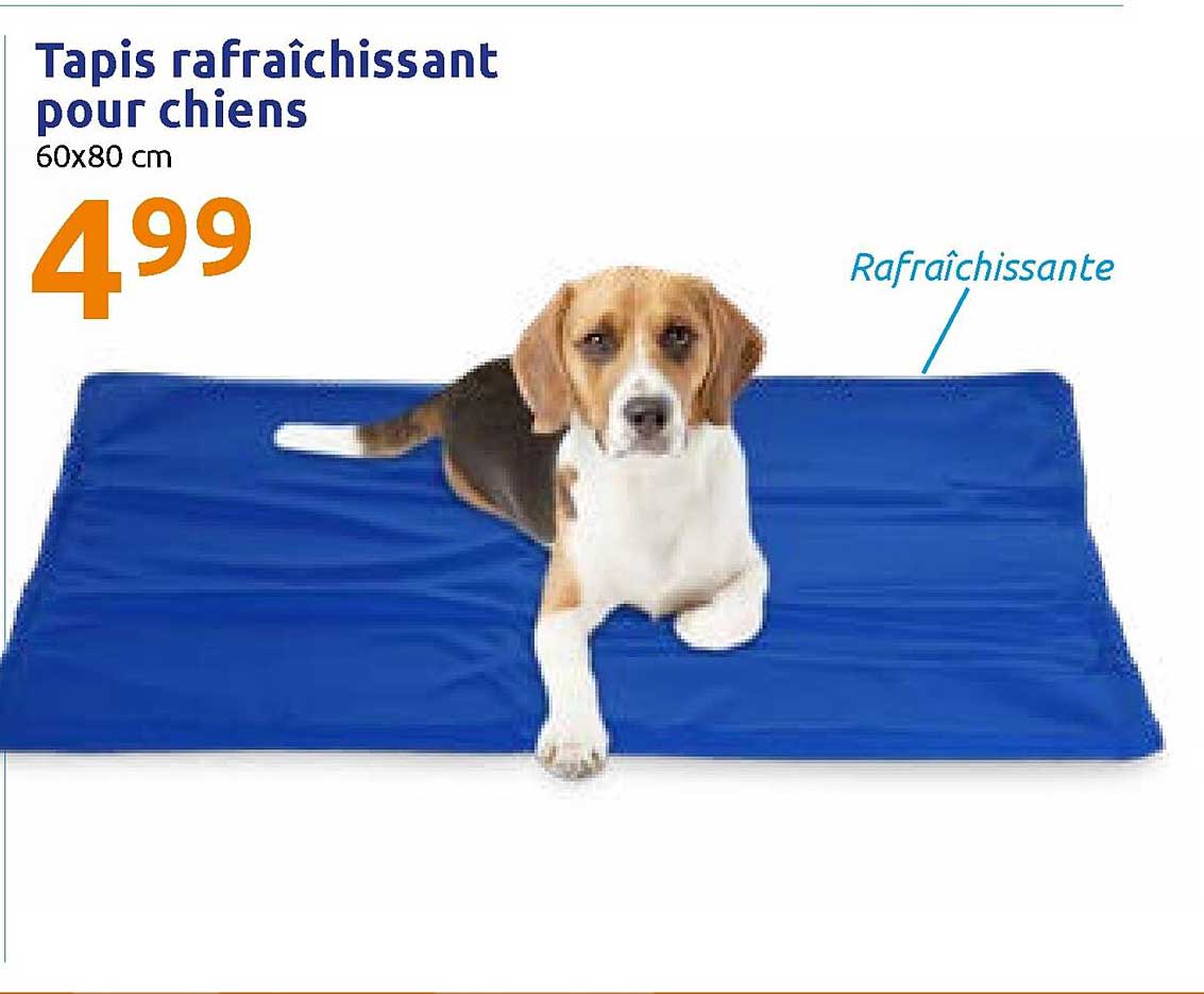 Tapis Rafraîchissant Pour Chiens