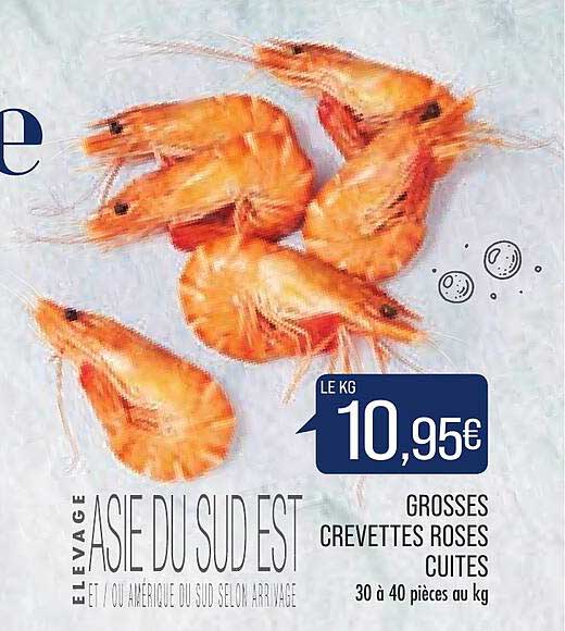 grosses crevettes roses cuites