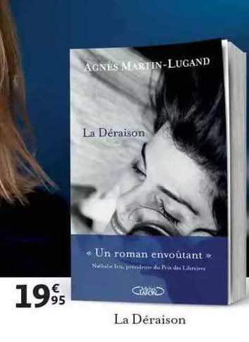la déraison - agnès martin - lugand
