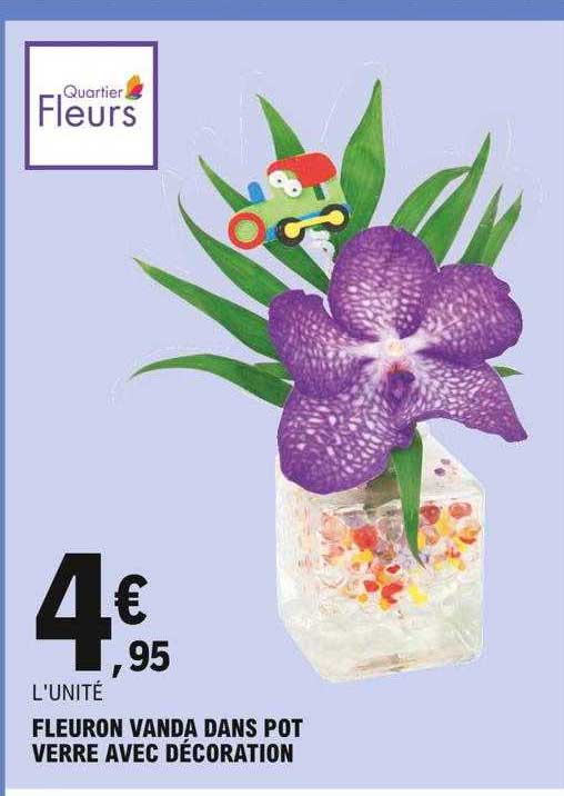 fleuron vanda dans pot verre avec décoration