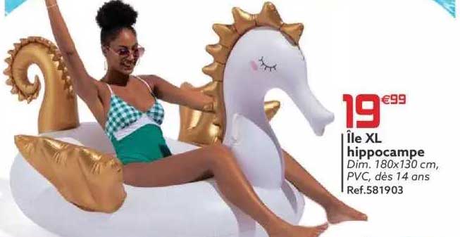 île Xl Hippocampe