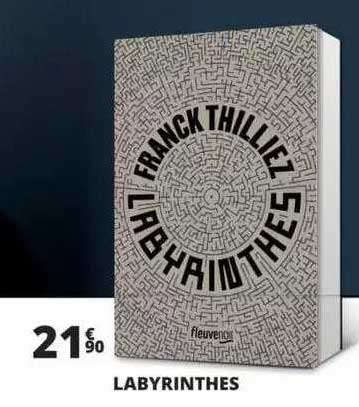 labyrinthes - franck thilliez