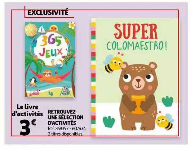 Le Livre D'activités