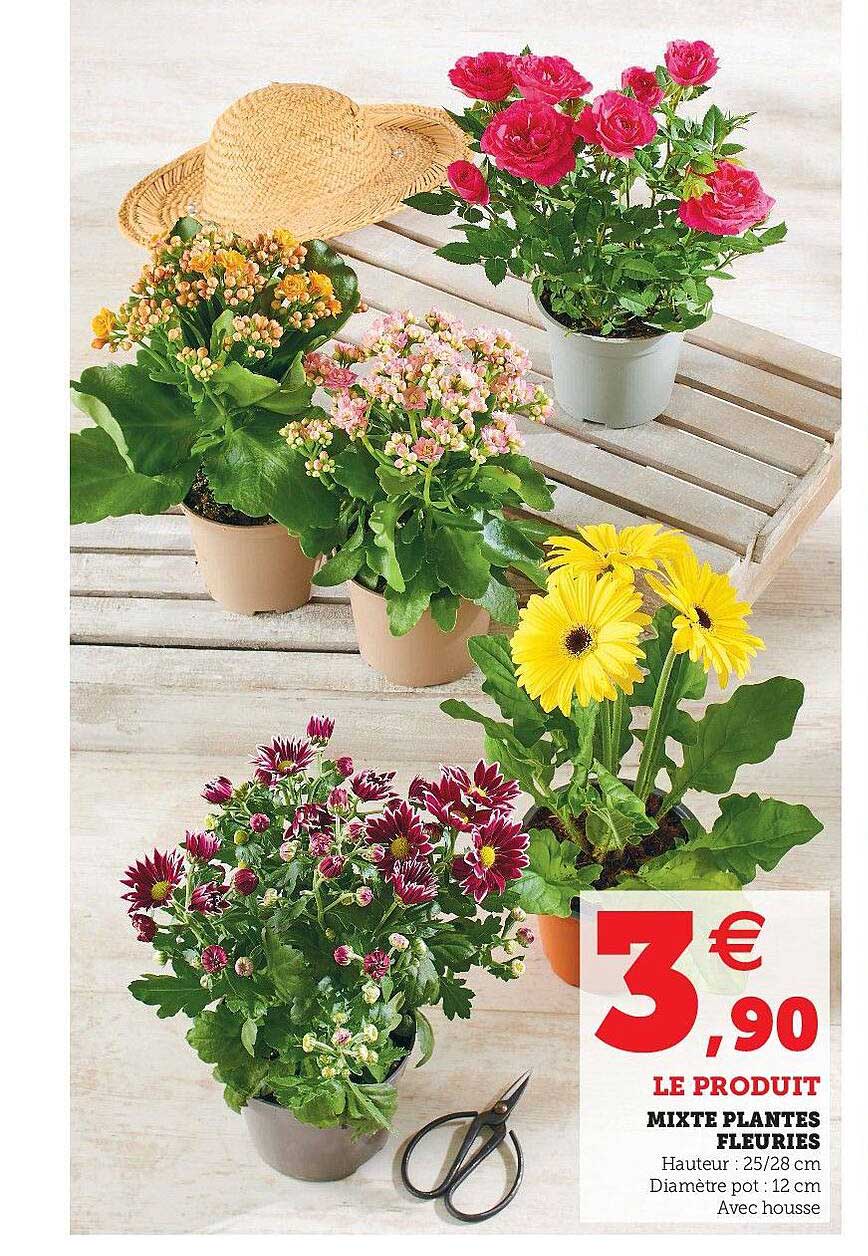 mixte plantes fleuries