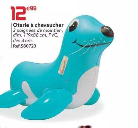 otarie à chevaucher