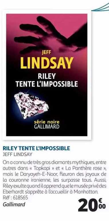 riley tente l'impossible - jeff lindsay