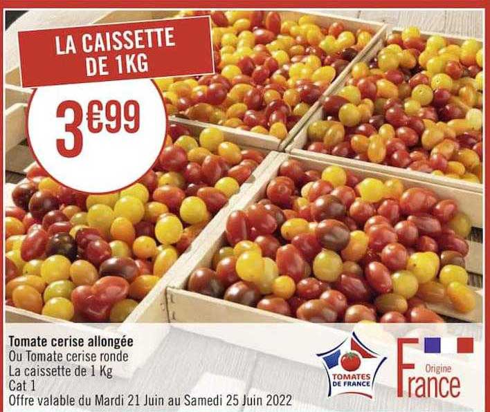 Tomate Cerise Allongée Ou Tomate Cerise Ronde