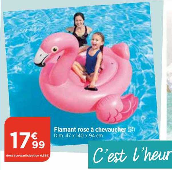 flamant rose à chevaucher