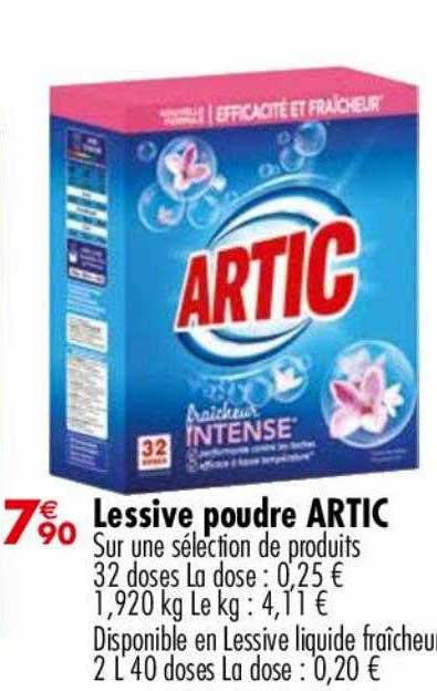 Lessive Poudre Artic