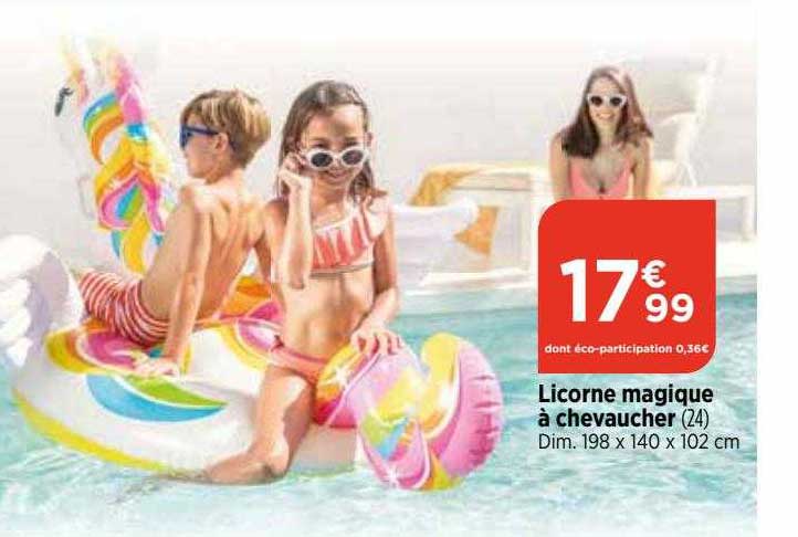 licorne magique à chevaucher